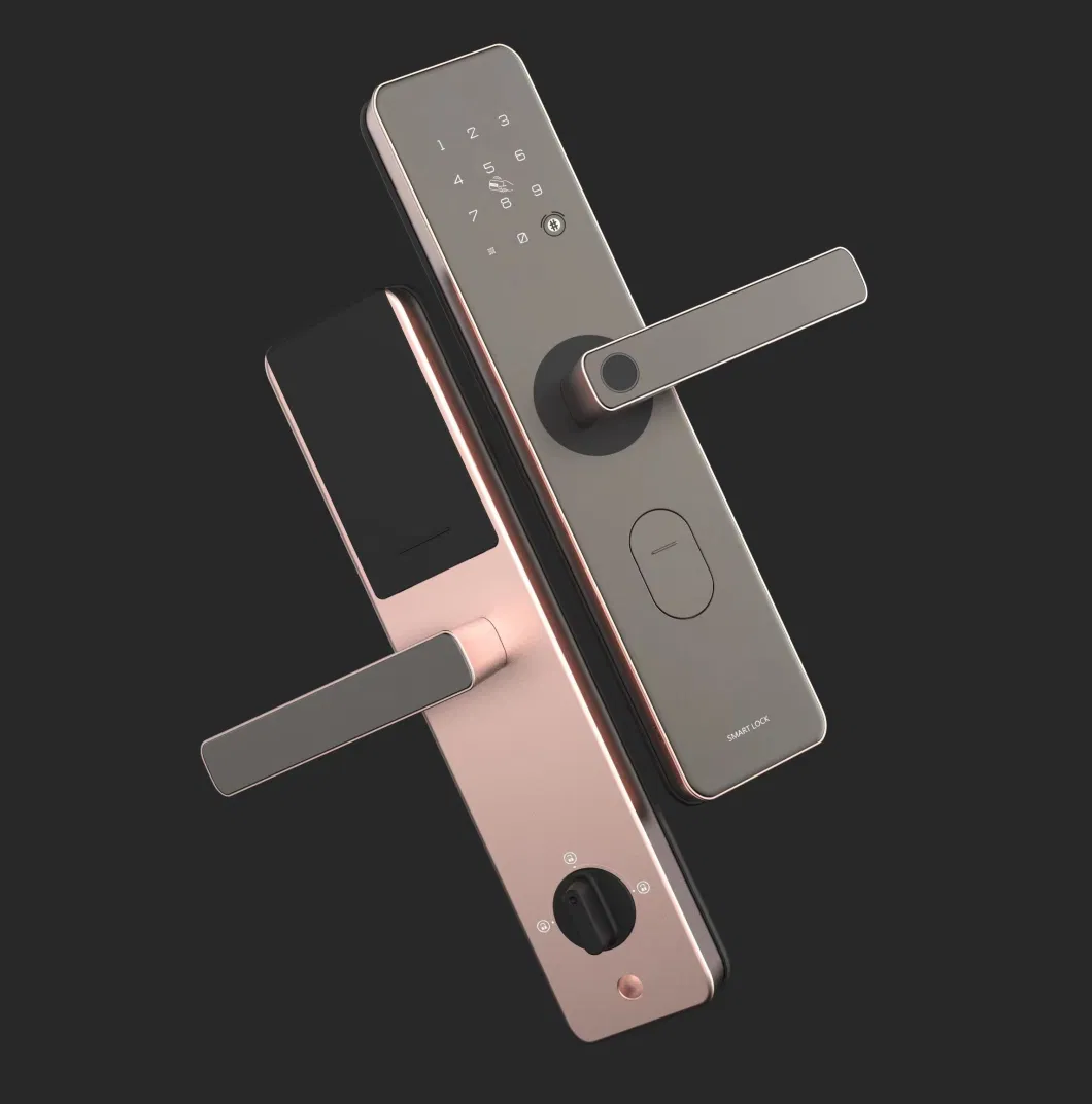 Aluminum Alloy 6068 Mortise Multi-Function Unlock Digital Fingerprint Smart Door Lock