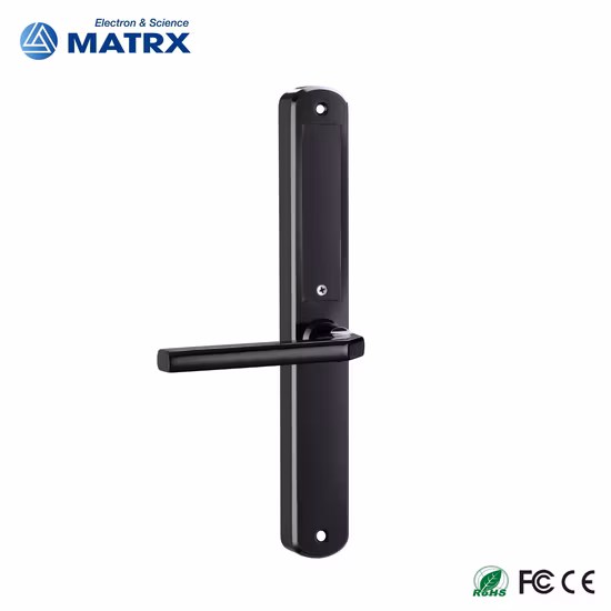 스테인레스 스틸 304 지문 비밀번호 열쇠가 없는 출입 스마트 잠금 장치 Tuya APP